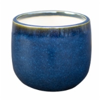 HDO Esprit Blue Planter Perspective: Main