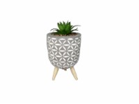 HD Designs Outdoors Succulent Cement Potted Plant - Grey