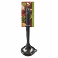 Dash of That Stainless Steel Ladle Perspective: Main