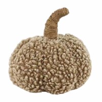 Holiday HomeLight Brown Soft Harvest Pumpkin Thanksgiving Fall Décor