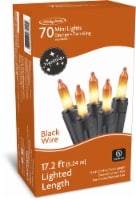 Holiday Home® 70 ct Incandescent Orange Twinkling Halloween Mini Lights