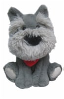 Grey Schnauzer Dog