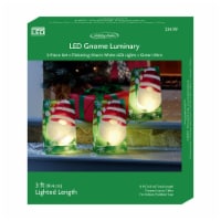Holiday Home® LED Gnome Luminary Lights Perspective: Main