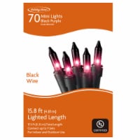 Holiday Home 70 ct Incandescent Black Purple Mini Halloween Lights