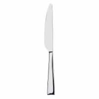 Dash of That Brin Dinner Knife Perspective: Main