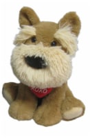 Brown Schnauzer Dog