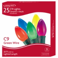 Holiday Home® Green Wire LED Christmas Lights - Multi