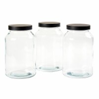 Dash of That Essentials Glass Canister - Set of 3