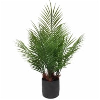 HD Designs Outdoors Black Pot with Areca Plant