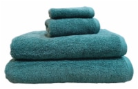 HD Designs Antimicrobial Hand Towel - Teal Perspective: Main