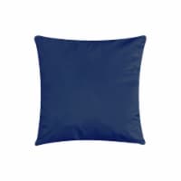 Everyday Living Velvet Decor Pillow - Blue