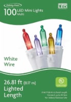 Holiday Home 100 ct White Wire Multicolor LED Christmas Lights