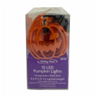 Holiday Home® 10 ct Orange LED Metal Halloween Lights