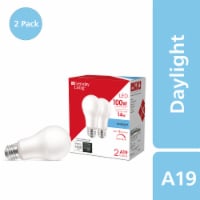 Everyday Living® 14-Watt (100-Watt) A19 LED Dimmable Light Bulb - Daylight (5000K) Perspective: Main
