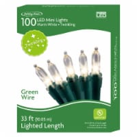 Holiday Home 100 ct Green Wire LED Mini Twinkle Christmas Lights - White Perspective: Main