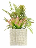 HD Designs Succulent/Agave In Ceramic Pot Perspective: Main