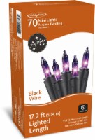 Holiday Home® 70 ct Incandescent Purple Twinkling Halloween Mini Lights