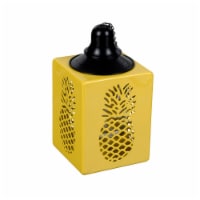 Pineapple Yellow