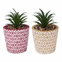 HD Designs Outdoors Red/Yellow Succulent Plant