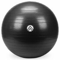 Trajectory Anti-Burst Stability Ball - Black Perspective: Main