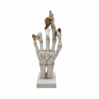 Holiday Home Skeleton Hand with Gold Butterflies Perspective: Main
