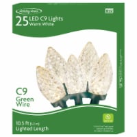 Holiday Home 25 ct Green Wire Warm White LED Christmas Lights Perspective: Main