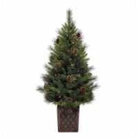 Holiday Home Bergen Pine Potted Tree with Clear Lights Perspective: Main