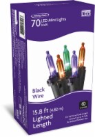 Holiday Home® 70 ct Halloween Multi Color LED Mini Lights Perspective: Main