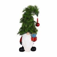 Holiday Home Christmas LED Gnome Tree Hat with Gift Holiday Décor Perspective: Main