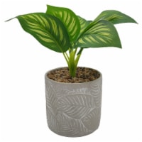 HD Designs Outdoors Ceramic Cement Planter & Plant Perspective: Main