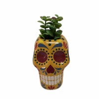Holiday Home Orange Ceramic Skull with Succulent Halloween Décor Perspective: Main
