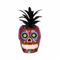 Holiday Home Day of the Dead Pink Sugar Skull Succulent Décor Perspective: Main