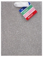 Holiday Home Solid Silver Glitter Film Cub Gift Bag Perspective: Main