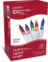 Holiday Home® Mini White Wire 100 String Christmas Lights - Multi Perspective: Main