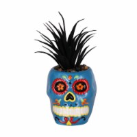 Holiday Home Day of the Dead Blue Sugar Skull Succulents Décor Perspective: Main