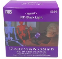Holiday Home® LED Black Light Perspective: Main