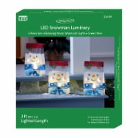 Holiday Home® LED Snowflake Luminary Lights Perspective: Main