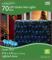 Holiday Home 70 ct Light Green Wire LED Globe Christmas Lights - Blue Perspective: Main