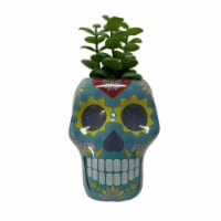 Holiday Home Blue Ceramic Skull with Succulent Halloween Décor Perspective: Main