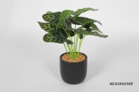 HD Designs Grennery in Cermaic Pot Perspective: Main
