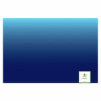 HD Designs Outdoors™ Blue Ombre 4 Pack Rectangular Textilene Placemats Perspective: Main