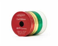 Holiday Home Winter Wishes 4 Color Ribbon Perspective: Main