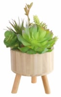 HD Designs Succulent in Round Wood Pot Perspective: Main