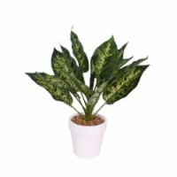 HD Designs Outdoors White Pot with Hosta Plant Perspective: Main
