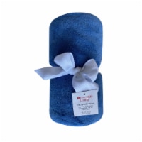 Everyday Living® Microplush Throw Blanket - Blue Perspective: Main