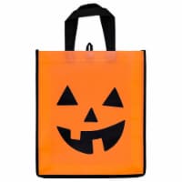 Holiday Home Orange Pumpkin Treat Bag Perspective: Main