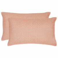 SAFAVIEH Box Stitch Pillow Set of 2 Neon / Orange