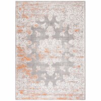 Safavieh PAS406F-10 Passion Large Rectangle Area Rug, Grey & Ivory - 10 x 14 ft.
