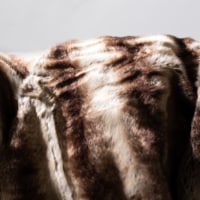 SAFAVIEH Coco Striped Throw Blanket Milk Chocolate