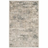 SAFAVIEH Princeton PRN711S Silver / Anthracite Rug 4' x 6'